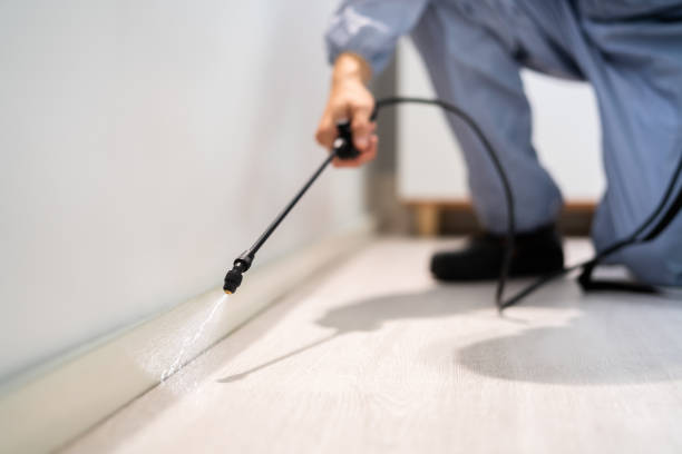 Licensed Mosquito Control service in Sutherland, NE - Show Me Pest Control