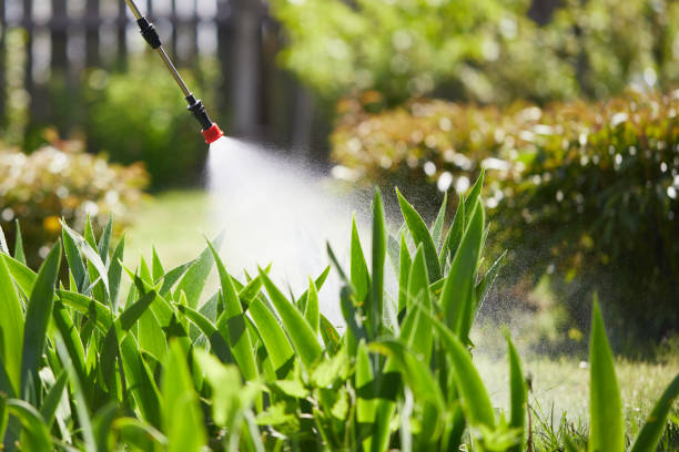 24/7 Emergency Mosquito Control experts in Sutherland, NE